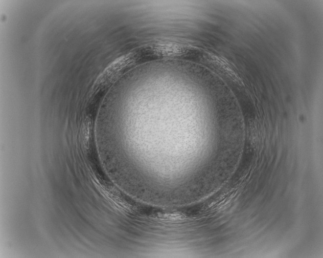 X0000059820645200510241356