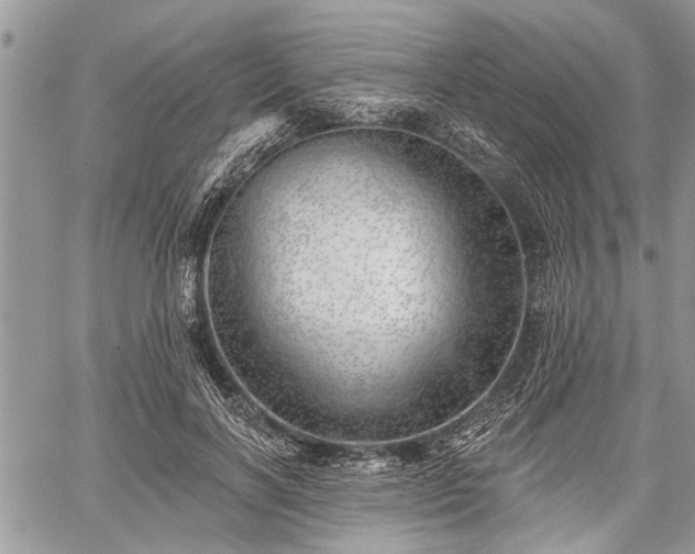 X0000059820646200510241356