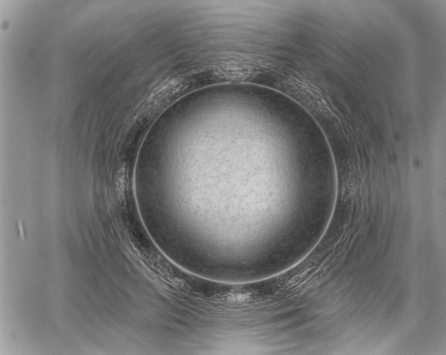 X0000059820647200510241356