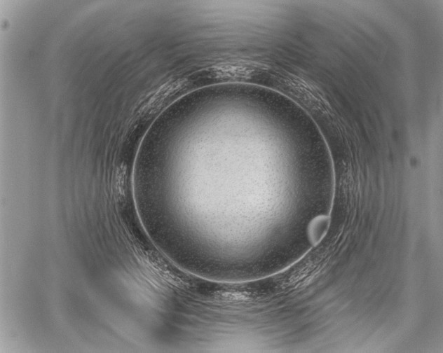 X0000059820649200510241357