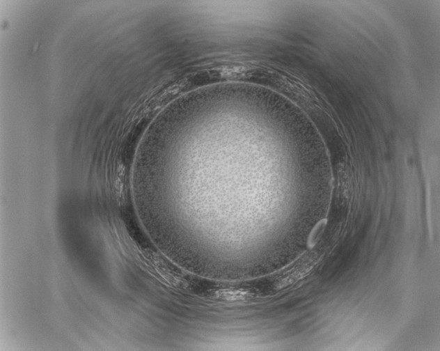 X0000059820650200510241357