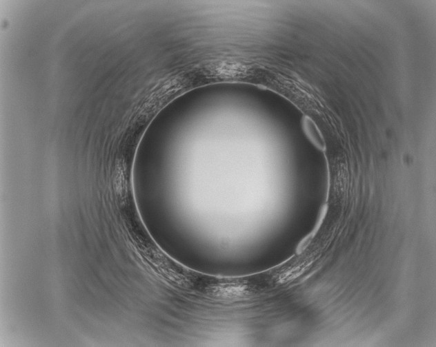 X0000059820651200510241357