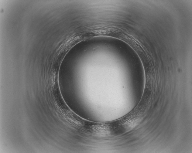 X0000059820652200510241357