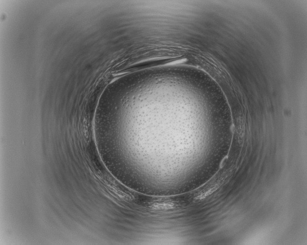 X0000059820653200510241357