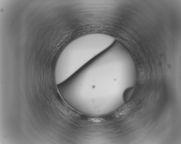 X0000059820654200510241357