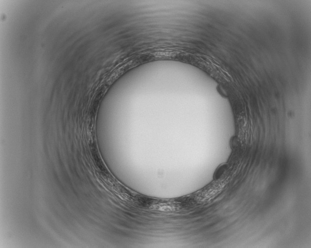 X0000059820655200510241357