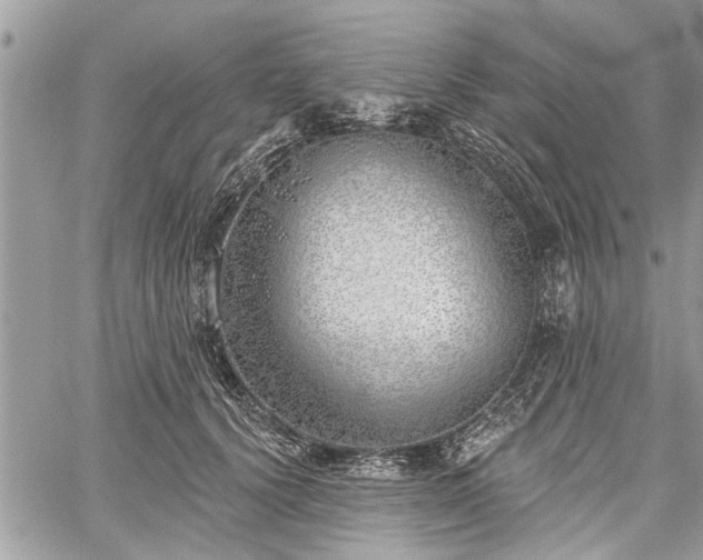 X0000059820656200510241357