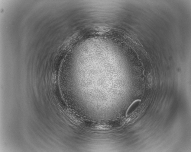 X0000059820657200510241357