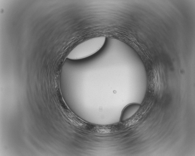 X0000059820658200510241357