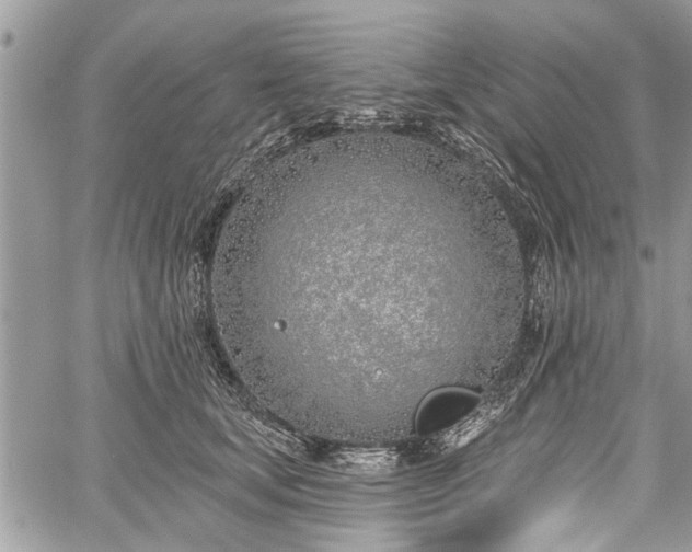 X0000059820659200510241357