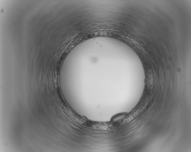 X0000059820661200510241357