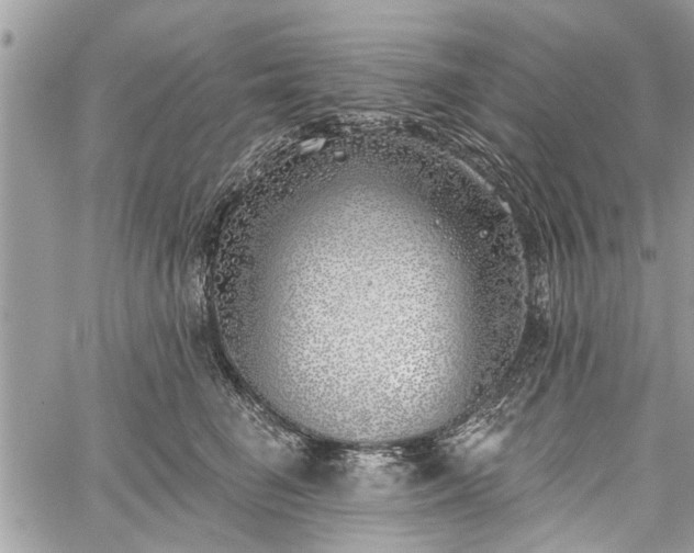 X0000059820662200510241357