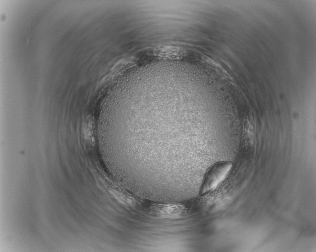 X0000059820663200510241357