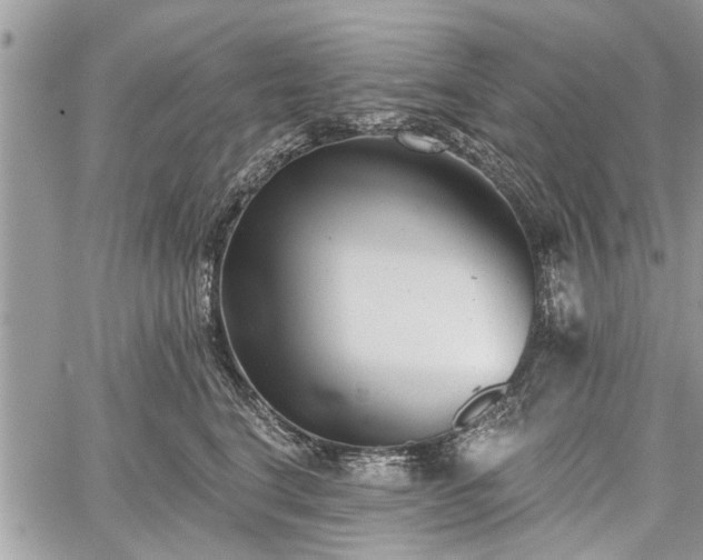 X0000059820664200510241357