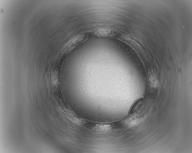 X0000059820665200510241357