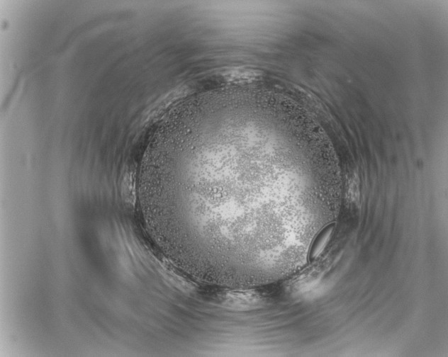 X0000059820666200510241357