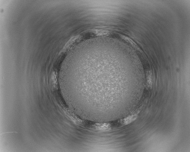 X0000059820667200510241357