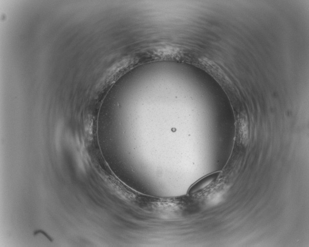 X0000059820668200510241357