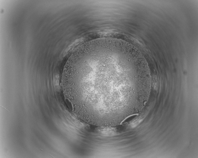 X0000059820670200510241357