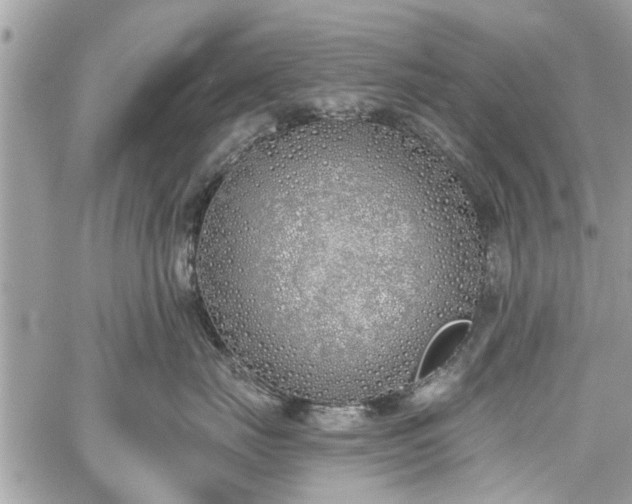 X0000059820671200510241357