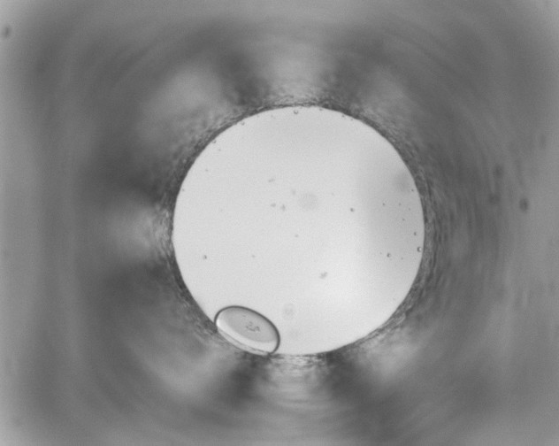 X0000059820672200510241357