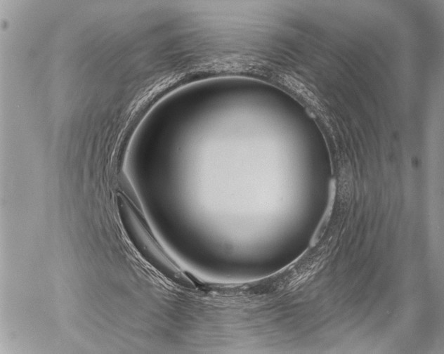 X0000059820673200510241356