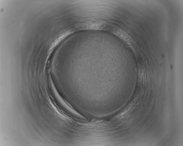 X0000059820674200510241356