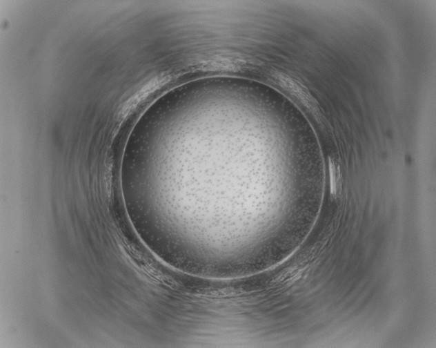 X0000059820675200510241356