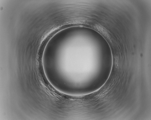 X0000059820676200510241356