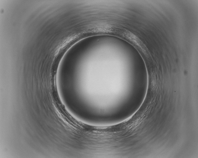 X0000059820677200510241356