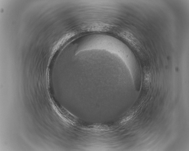 X0000059820678200510241356