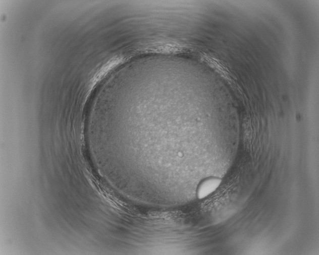 X0000059820679200510241356