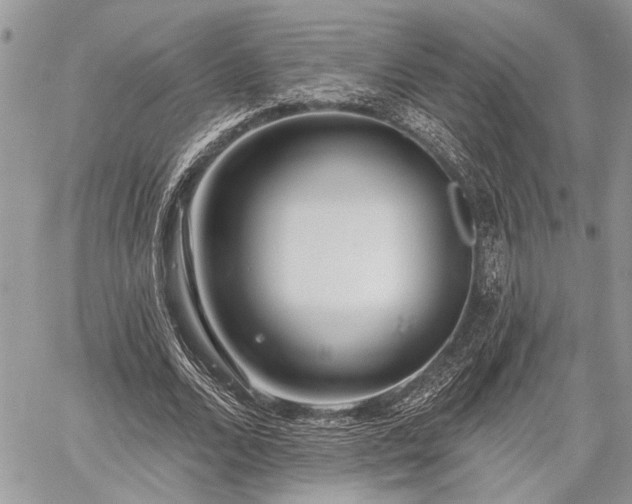 X0000059820680200510241356