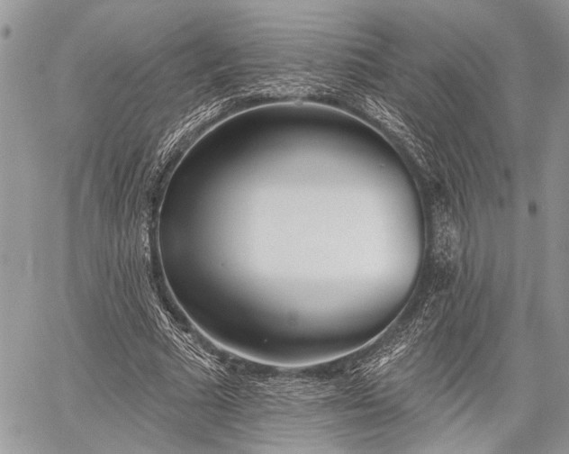 X0000059820681200510241356