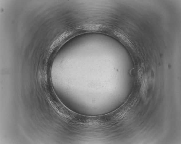 X0000059820682200510241356