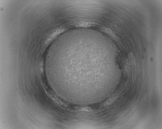 X0000059820683200510241356