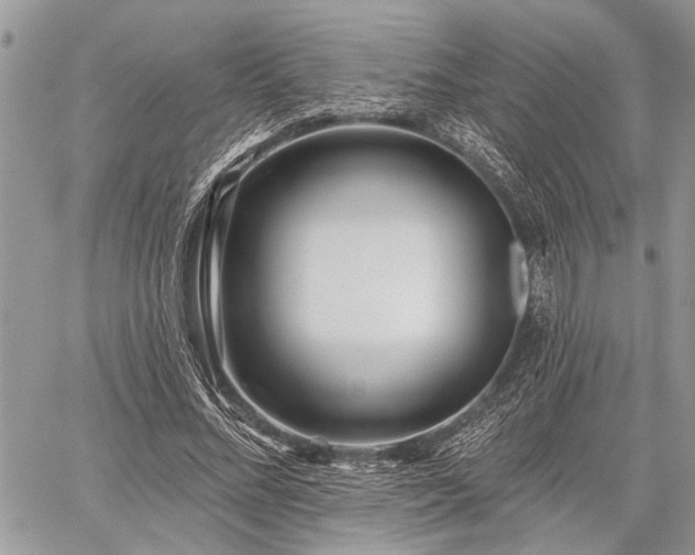 X0000059820684200510241356