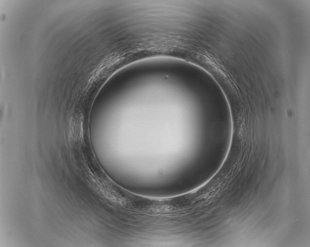 X0000059820685200510241356