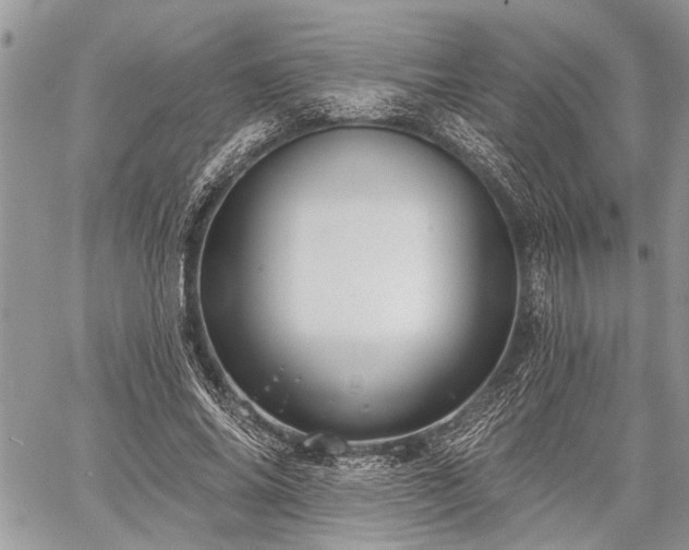 X0000059820686200510241356