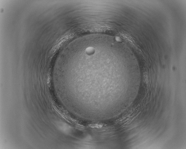 X0000059820687200510241356