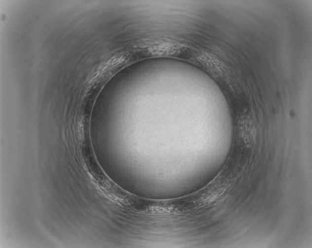 X0000059820690200510241356