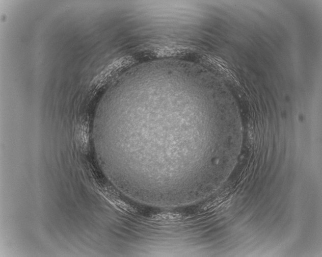 X0000059820691200510241356