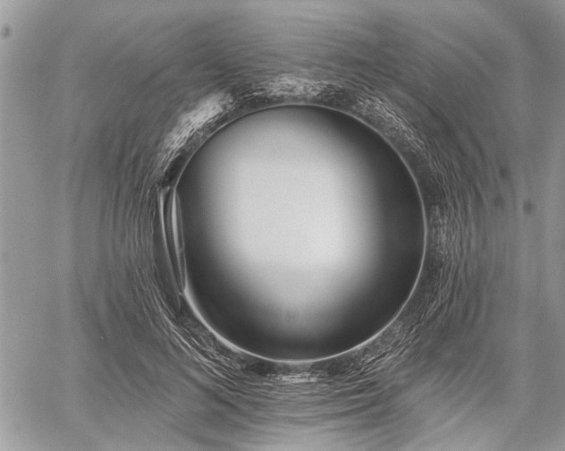 X0000059820692200510241356