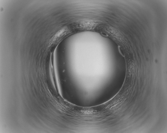 X0000059820693200510241356