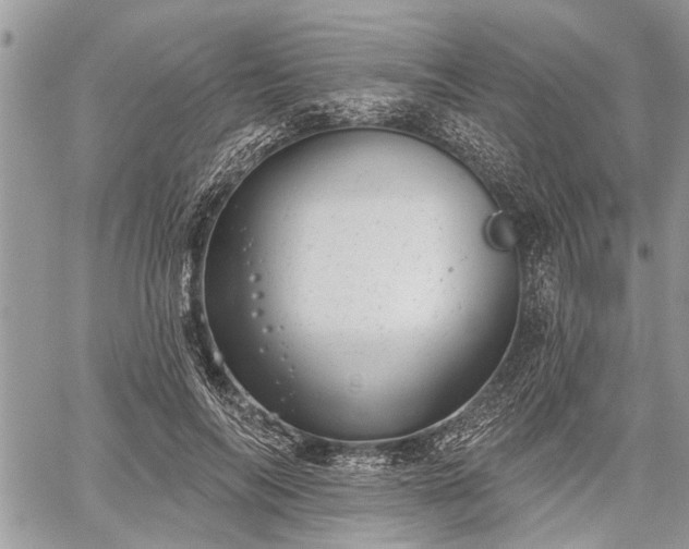 X0000059820694200510241356