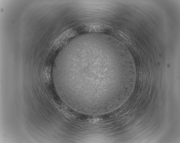 X0000059820695200510241356