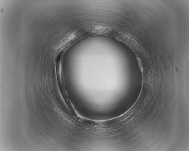 X0000059820696200510241356