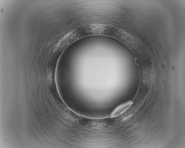 X0000059820697200510241356