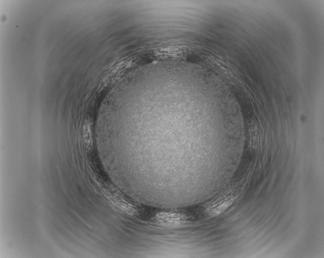 X0000059820699200510241356