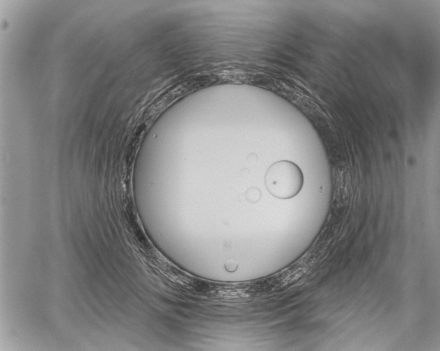 X0000059820702200510241356